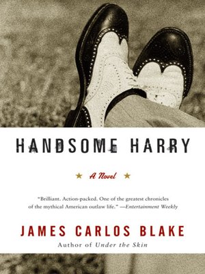 cover image of Handsome Harry